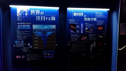 沼津港深海水族館夜の貸切~深海魚浜焼きコース!_d0050503_9425289.jpg