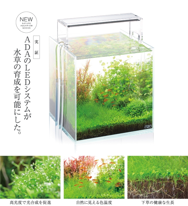 1台限定!ADAアクアスカイ飼育セット : ユニアクブログ