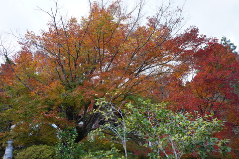 近所のお寺へ_f0349306_21193069.jpg