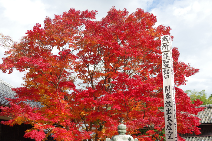 京都　紅葉　鷹峯エリア　１ 源光庵_b0151409_2234335.jpg