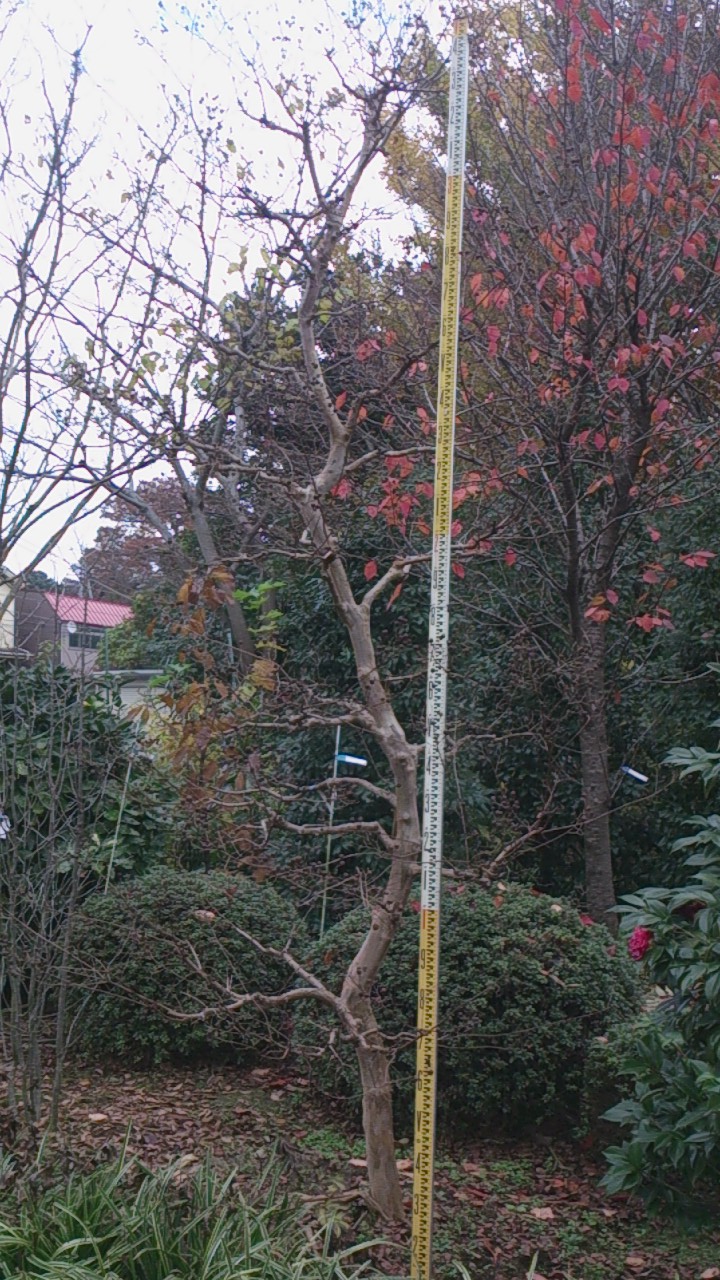 e0202109_23101064.jpg