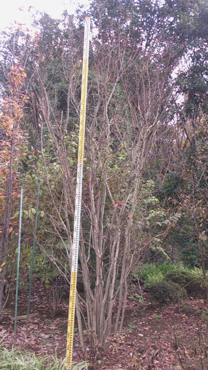 e0202109_2373750.jpg