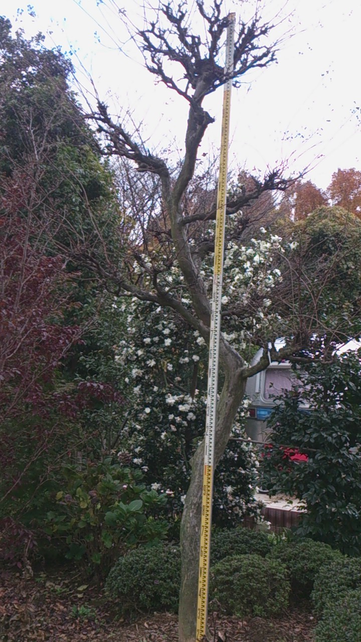 e0202109_2383868.jpg