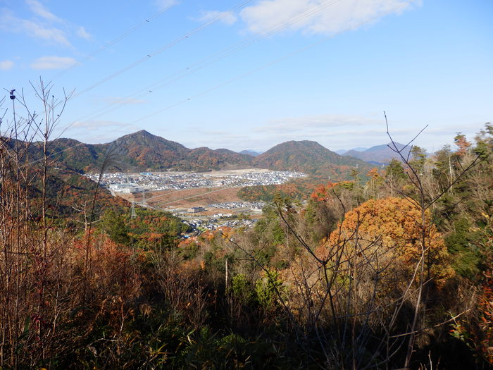 f0219710_814330.jpg
