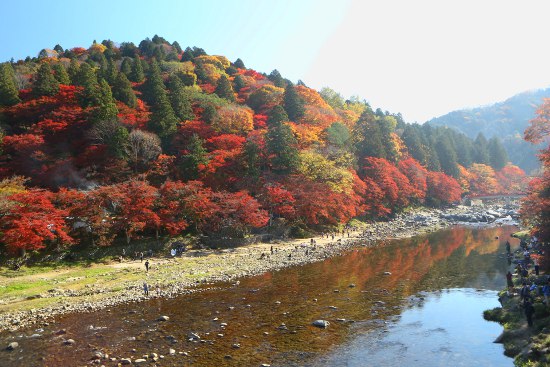 香嵐渓　紅葉①_a0105011_2153368.jpg