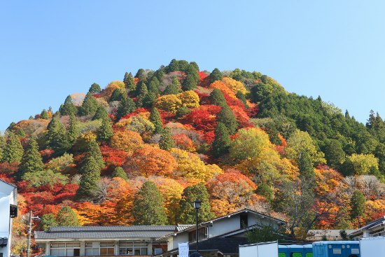 香嵐渓　紅葉①_a0105011_21541589.jpg