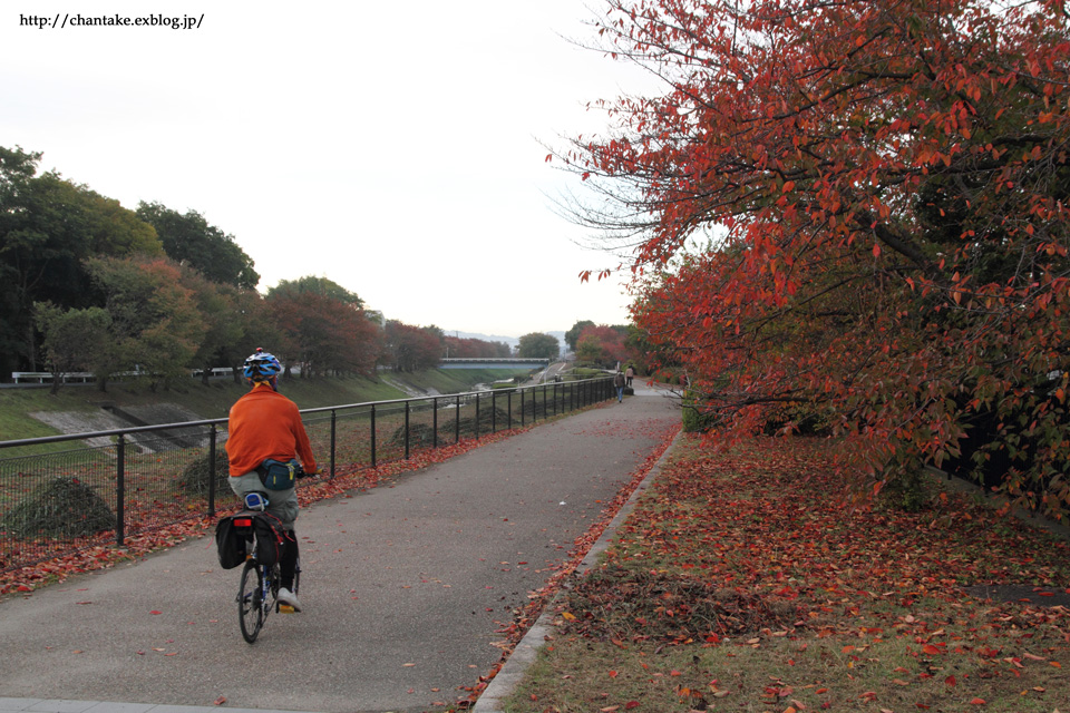 飛鳥川の紅葉_c0189013_1141865.jpg