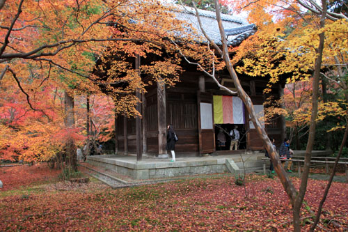 14紅葉めぐり 50 蓮華寺_e0048413_2159238.jpg