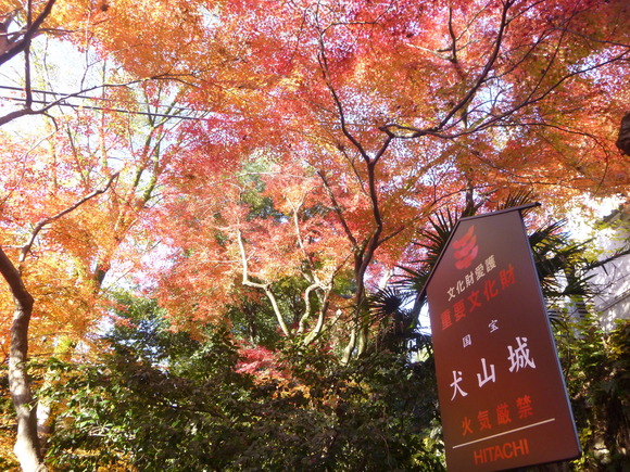 紅葉が綺麗な　犬山城に登る_d0170615_10173922.jpg