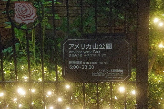 a0323521_11035225.jpg
