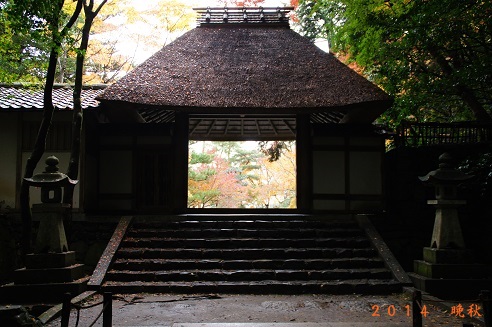 法然院　　～京都・東山～_c0235725_22412447.jpg