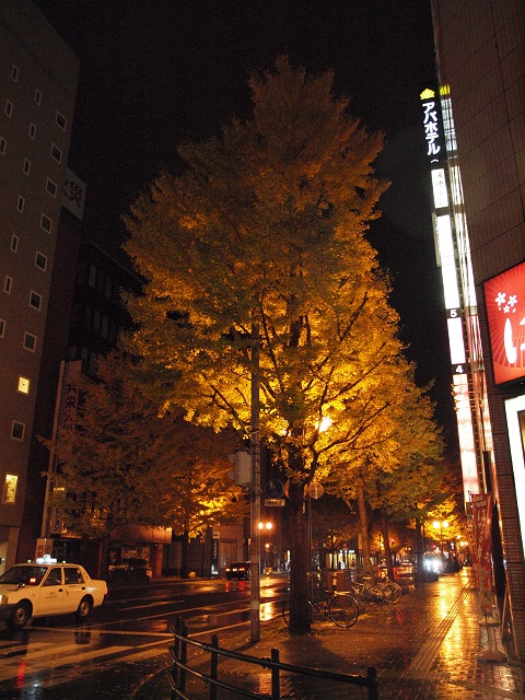 e0303726_1637957.jpg