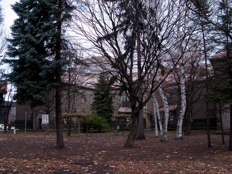 b0243727_16463379.jpg