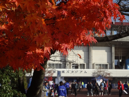 11/29 ヴァンフォーレ甲府 vs FC東京_b0199830_23484297.jpg