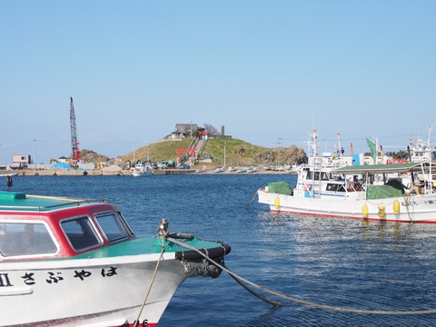 b0042334_1131050.jpg