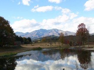 c0088437_1736121.jpg