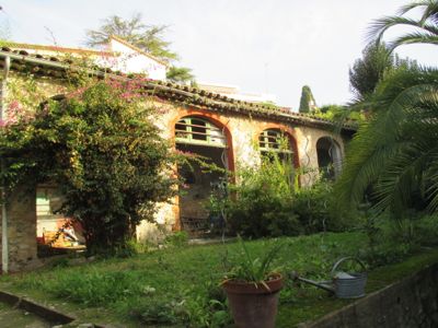 d0136540_35769.jpg