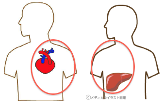 e0073240_714865.png