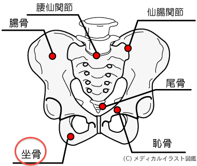 e0073240_744022.png