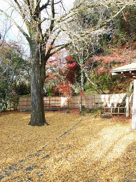 c0243343_20134037.jpg