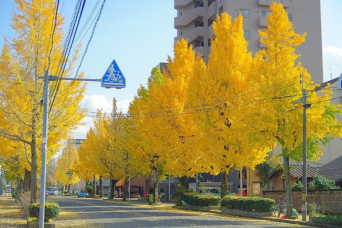 c0243343_20173214.jpg