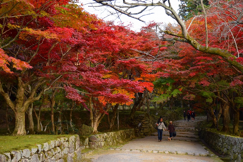 久し振りに訪れた見事な紅葉の『西明寺』（湖東三山の一つ）20141122_e0237645_14355655.jpg