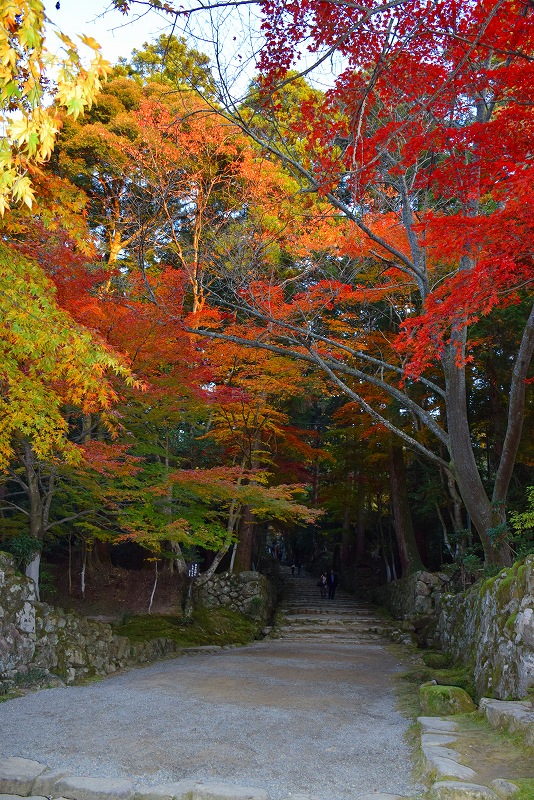 久し振りに訪れた見事な紅葉の『西明寺』（湖東三山の一つ）20141122_e0237645_14361429.jpg