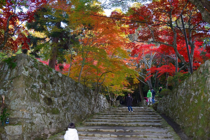 久し振りに訪れた見事な紅葉の『西明寺』（湖東三山の一つ）20141122_e0237645_14363867.jpg