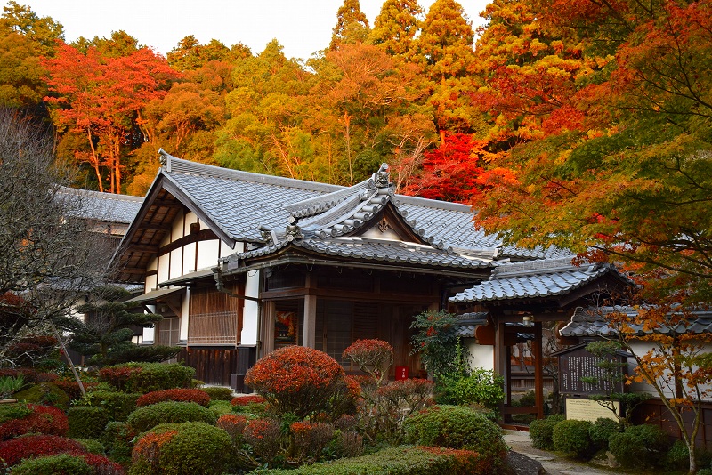 久し振りに訪れた見事な紅葉の『西明寺』（湖東三山の一つ）20141122_e0237645_14372210.jpg