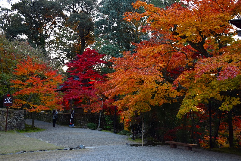 久し振りに訪れた見事な紅葉の『西明寺』（湖東三山の一つ）20141122_e0237645_14375049.jpg