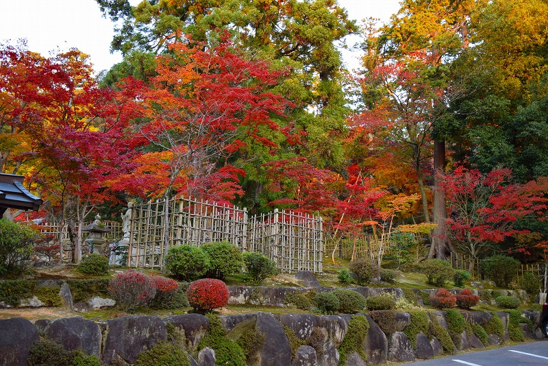 久し振りに訪れた見事な紅葉の『西明寺』（湖東三山の一つ）20141122_e0237645_143789.jpg