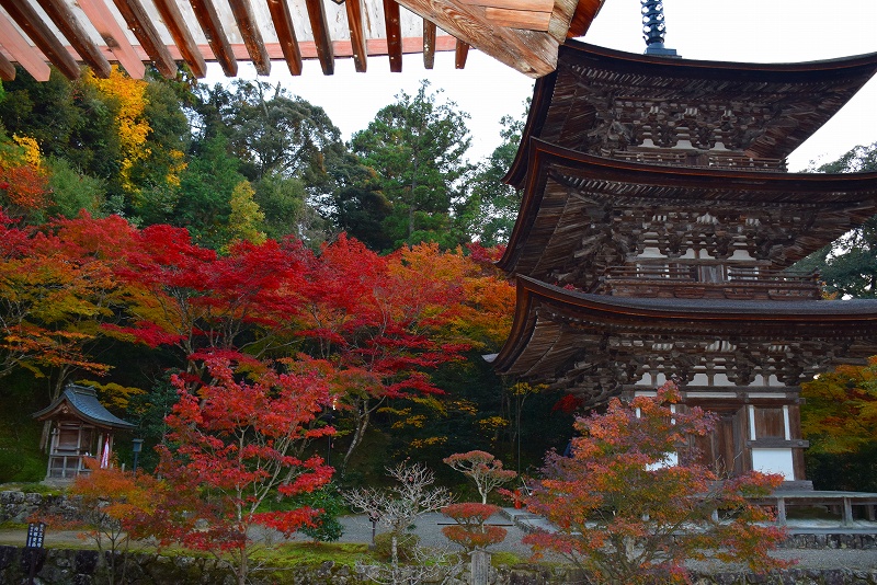久し振りに訪れた見事な紅葉の『西明寺』（湖東三山の一つ）20141122_e0237645_14381053.jpg