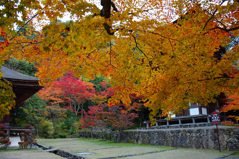 久し振りに訪れた見事な紅葉の『西明寺』（湖東三山の一つ）20141122_e0237645_14384261.jpg