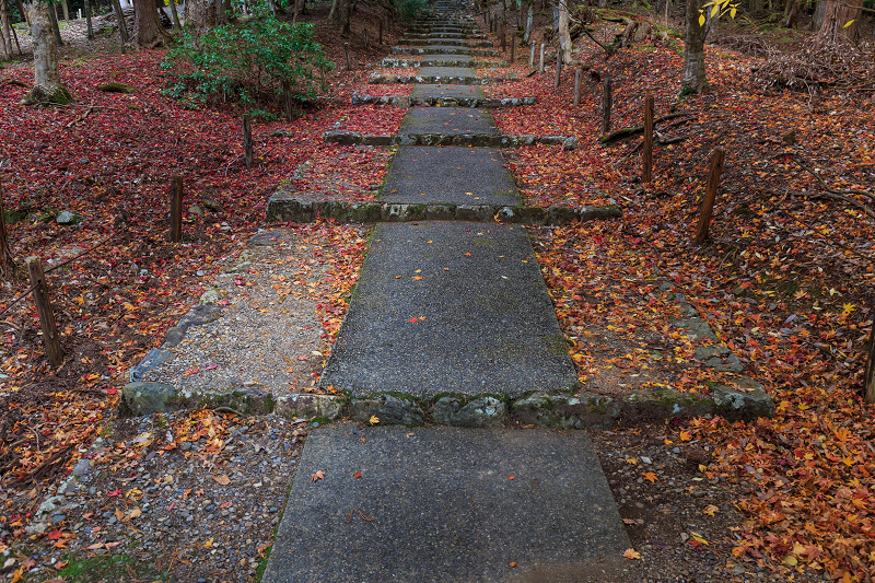 山輝く（常照皇寺）_f0155048_23175150.jpg