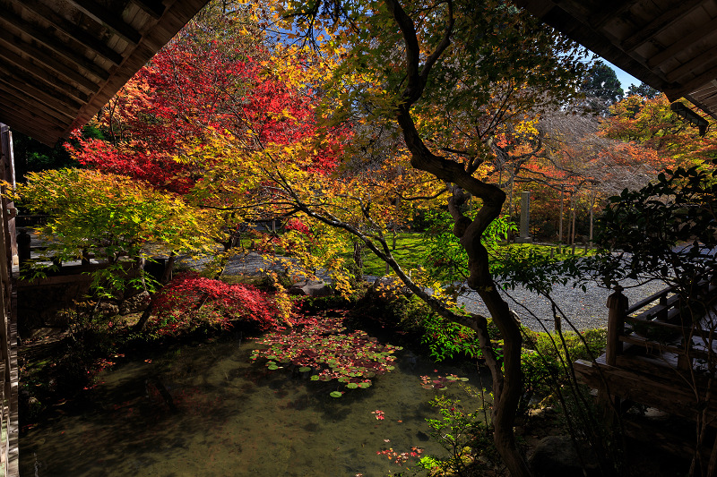 山輝く（常照皇寺）_f0155048_23242110.jpg