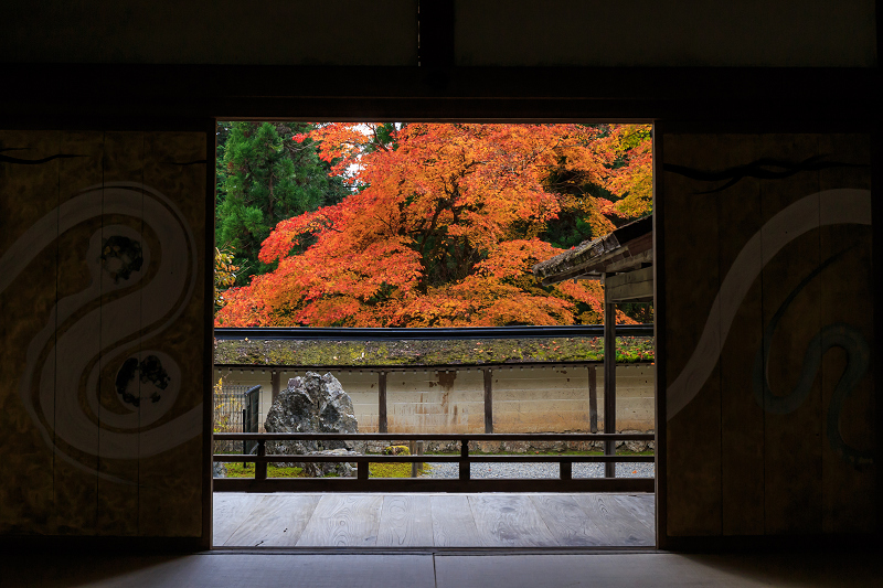 山輝く（常照皇寺）_f0155048_23251675.jpg