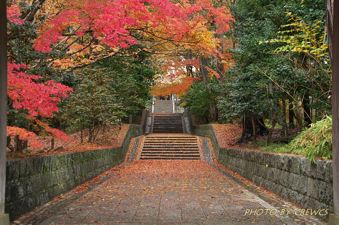 雲興寺 紅葉14 瀬戸市 Digital 四季彩感 森羅万象 photoblog 雲興寺 紅葉14 瀬戸市 Digital 四季彩感 森羅万象 photoblog