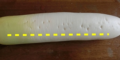 d0138650_8171028.jpg