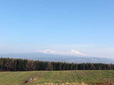 晩秋の美瑛_e0326953_17291133.jpg
