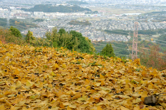 b0016557_15232792.jpg