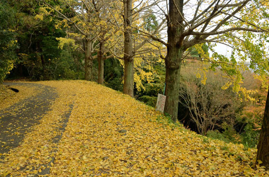 b0016557_15253916.jpg