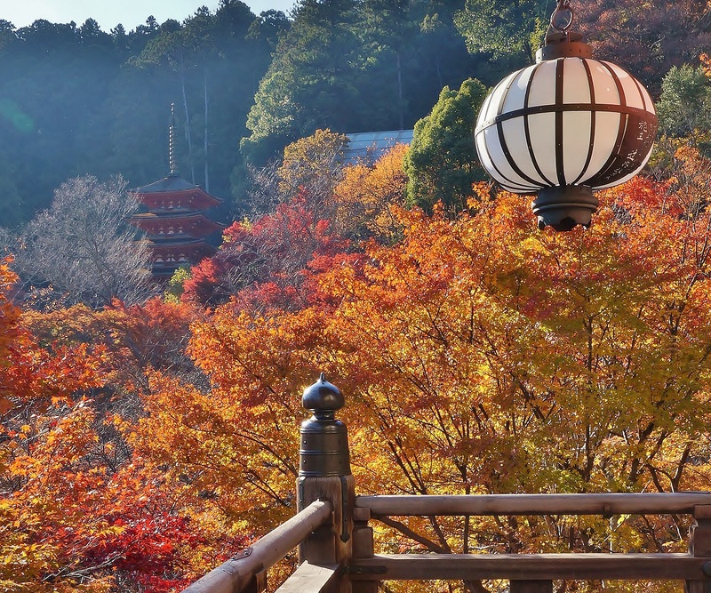 大和路 長谷寺の紅葉 奈良県桜井市 たんぶーらんの戯言 大和路 長谷寺の紅葉 奈良県桜井市 たんぶーらんの戯言