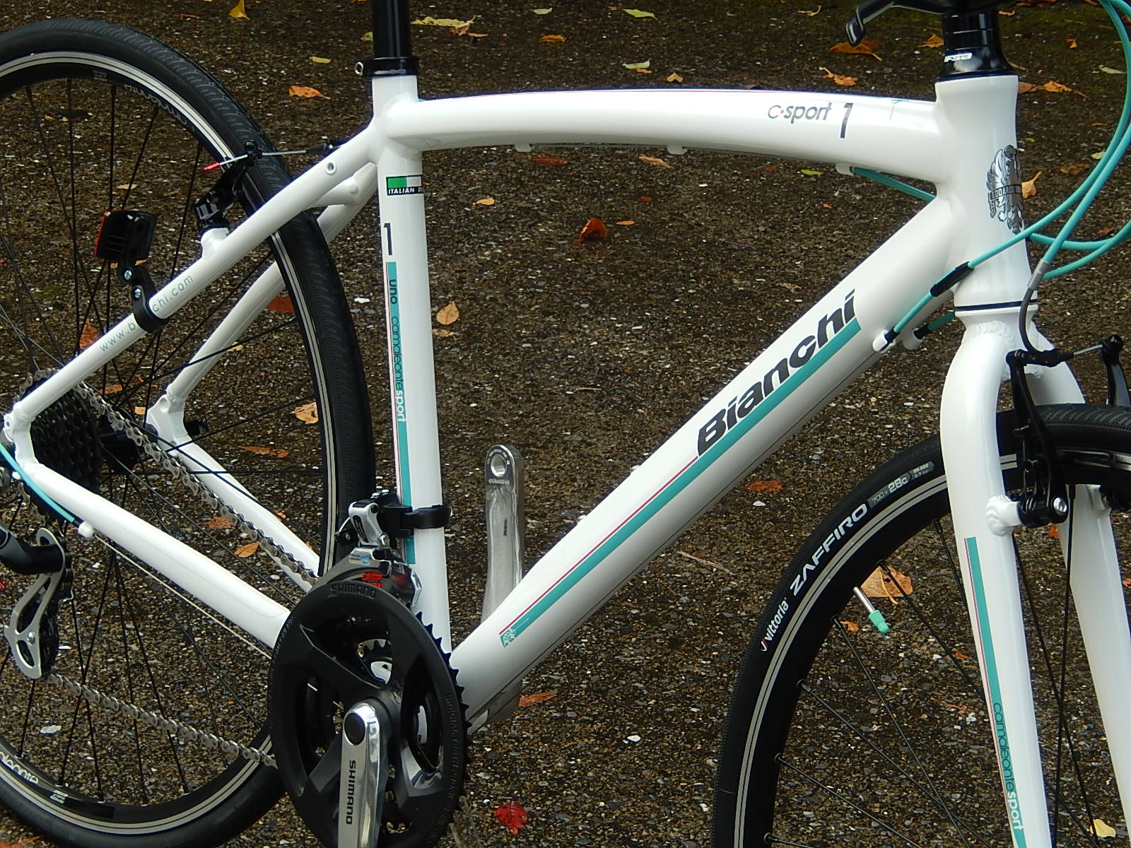2015年モデル Bianchi CAMALEONTE1_e0188759_14385066.jpg