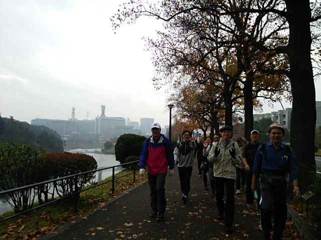 f0043559_2021674.jpg