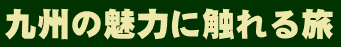 c0119160_20121022.gif