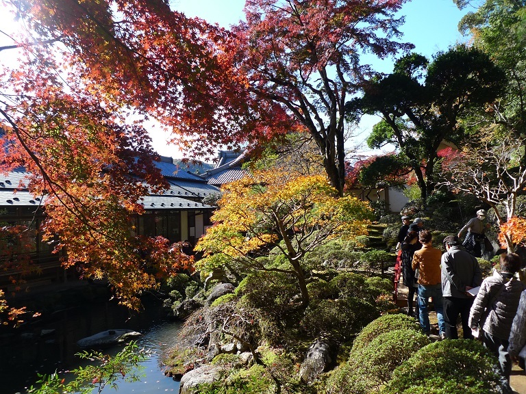 3-717) おじさんの遠足　修善寺_d0092767_09370509.jpg