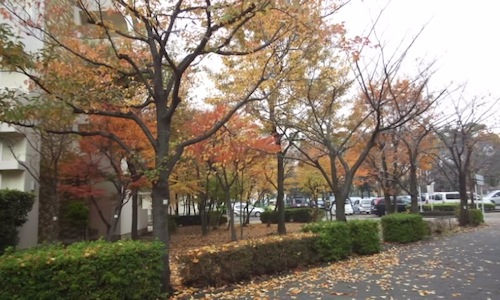 c0124773_10484338.jpg