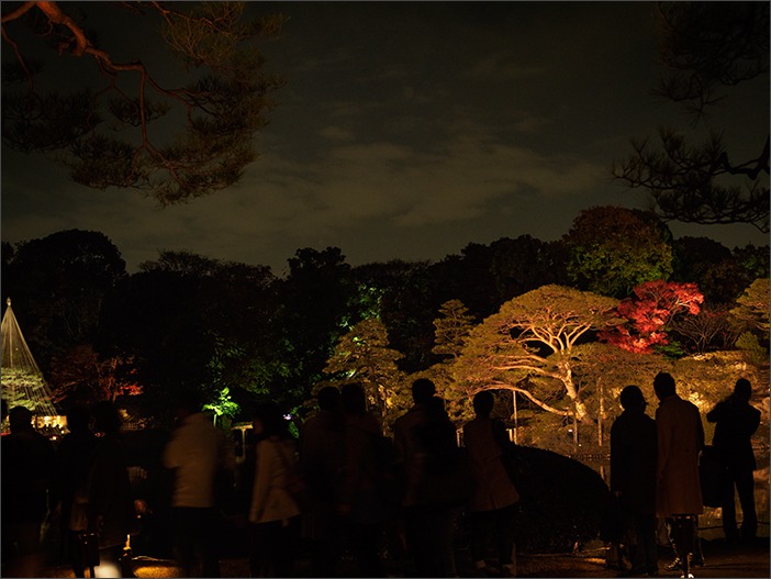 デジタルカレッジ*六義園の紅葉ライトアップを撮る_a0161380_23205765.jpg