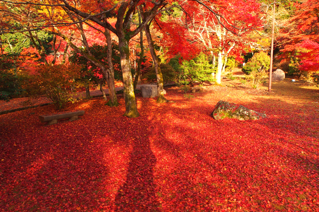 2014年11月29日(土) しゅっぱ~つ!_b0137083_1512332.jpg
