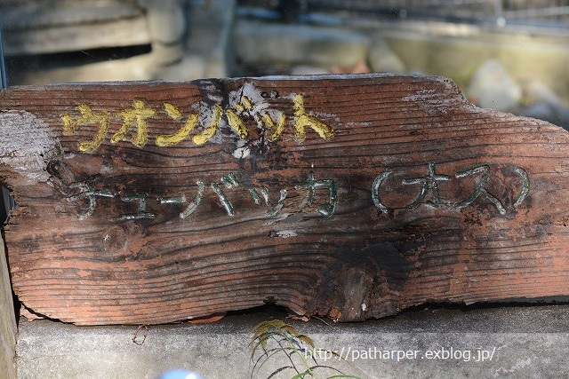 ２０１４年１１月　多摩動物園　その１_a0052986_2313346.jpg